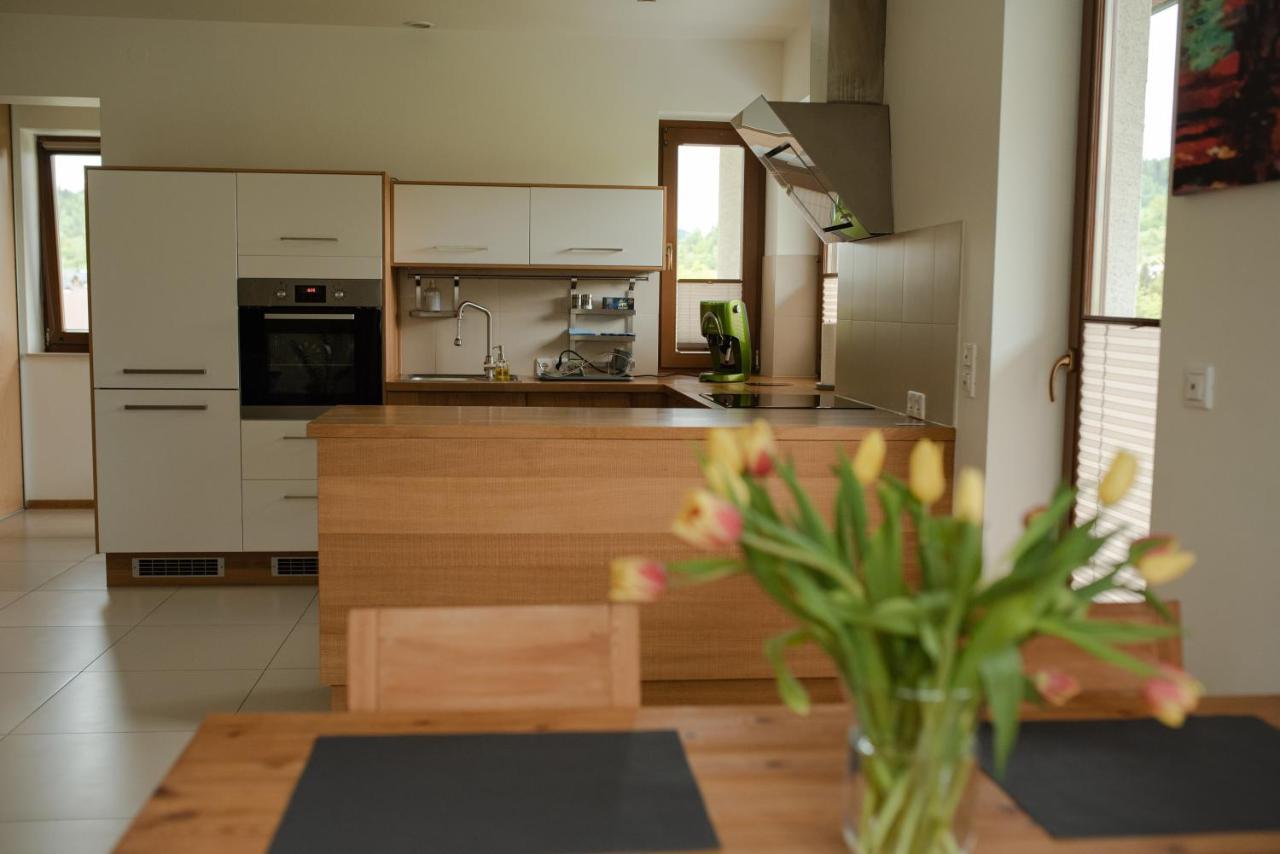 Apartament Sloneczna Rapsodia - Blisko Parku Zdrojowego - Piekny Widok - Ogrod - Taras Rabka Kültér fotó